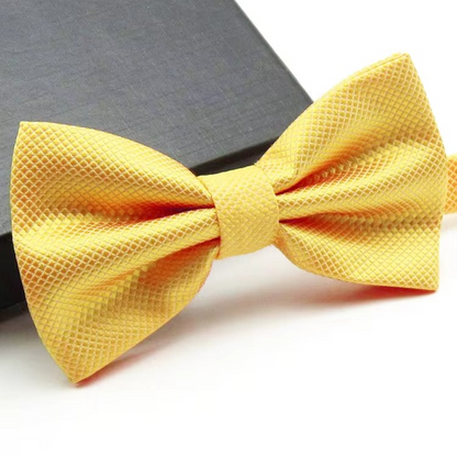 Mens Adult Bowtie Classic Fashion Wedding